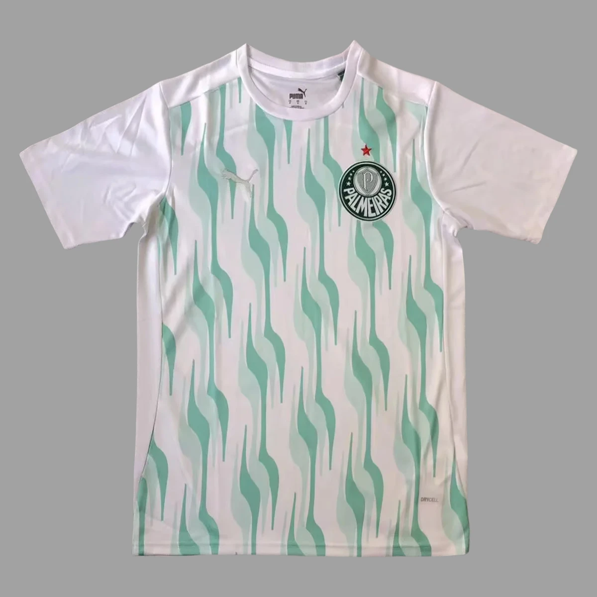 2025 Palmeiras Training Jersey