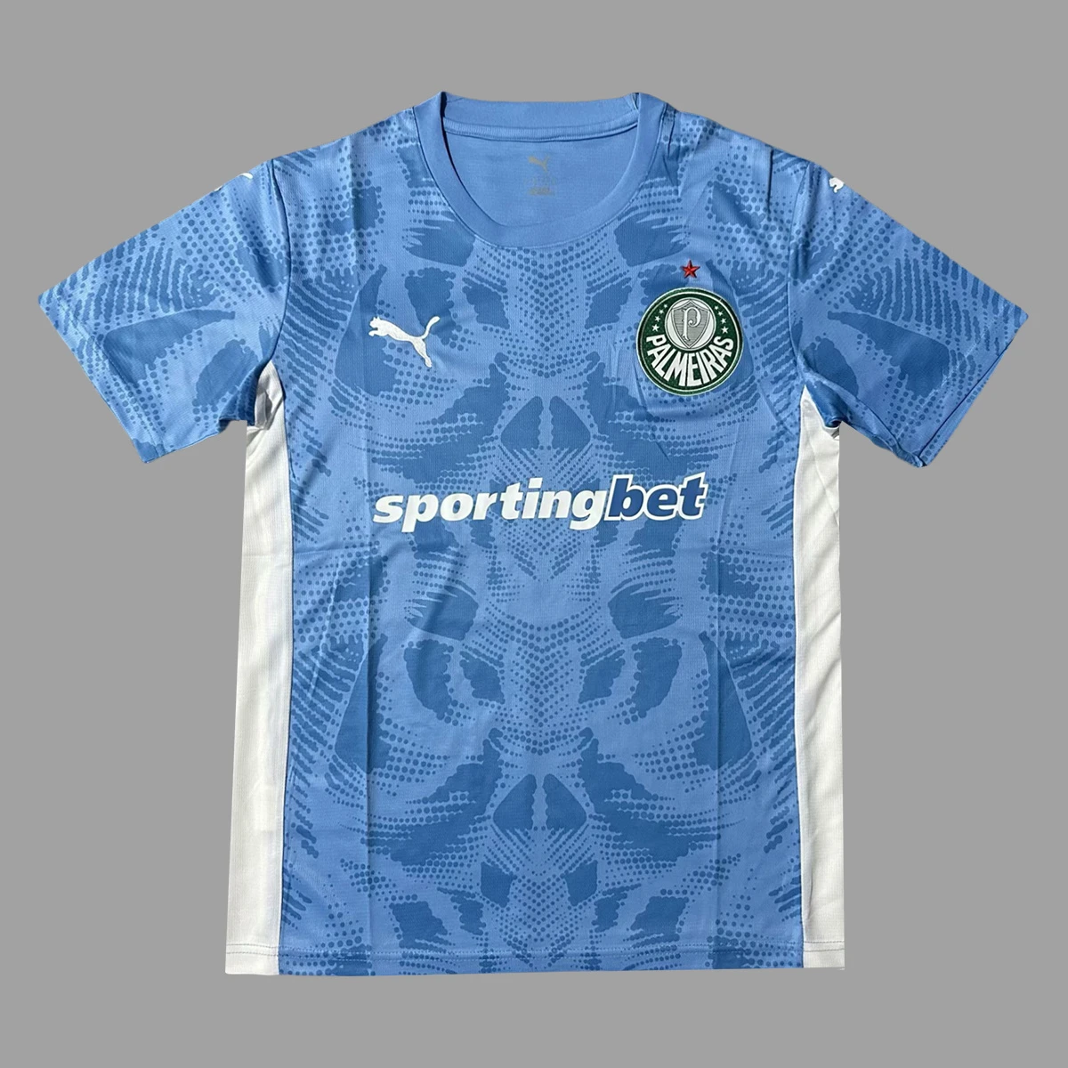 2025 Palmeiras Goalkeeper Soccer Jersey