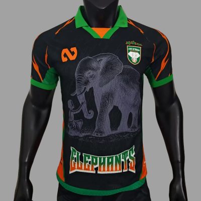 2025 Ivory Coast Special Player Version Black Soccer Jersey
