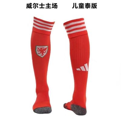 2022 Wales home