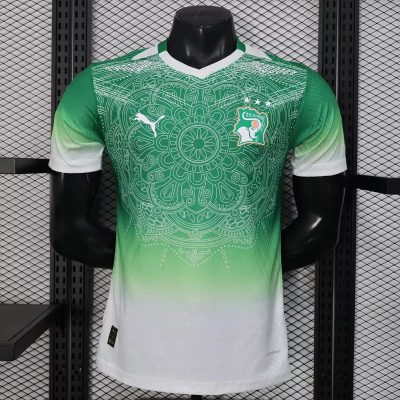 2026 Ivory Coast Special Version Green Player Version Soccer Jersey