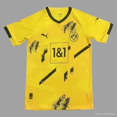 24/25 Dortmund training soccer jersey