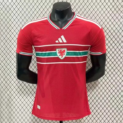 2026 Wales Home Player Version Soccer Jersey