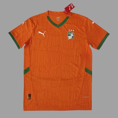 2025 Ivory Coast Home Soccer Jersey