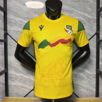 2023 Benin Home Player Version Soccer Jersey